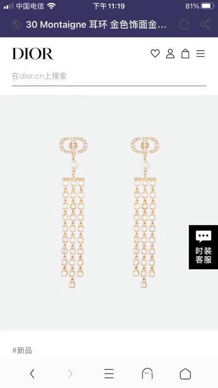 Christian Dior Earrings